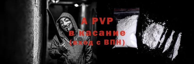 A PVP СК КРИС  Снежногорск 